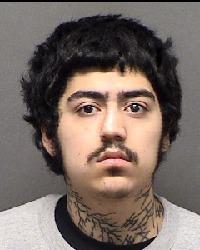 Mugshot of young man with dark curly hair and tattoos, wanted by San Antonio Crime Stoppers.